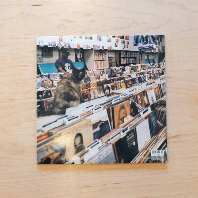 DJ Shadow - Endtroducing …..