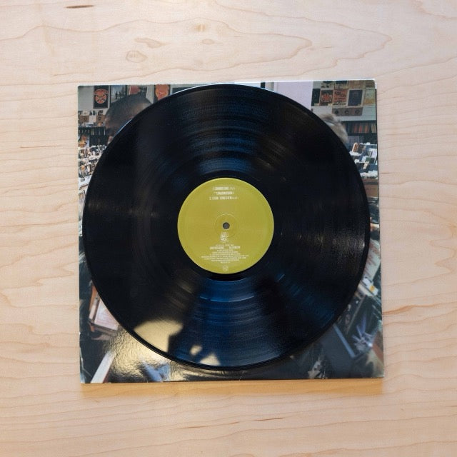 DJ Shadow - Endtroducing …..
